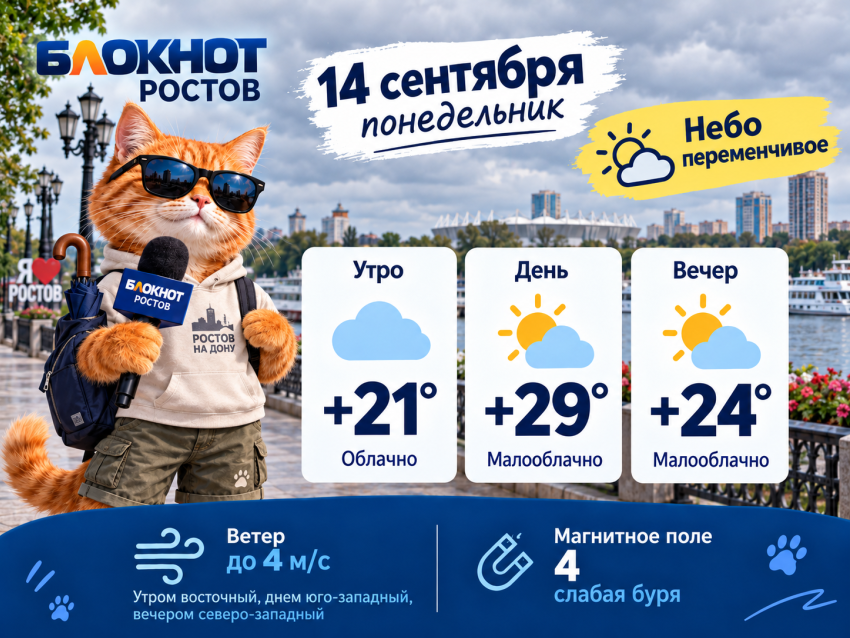 Пасмурно и до +29 градусов ожидается в Ростове 14 сентября