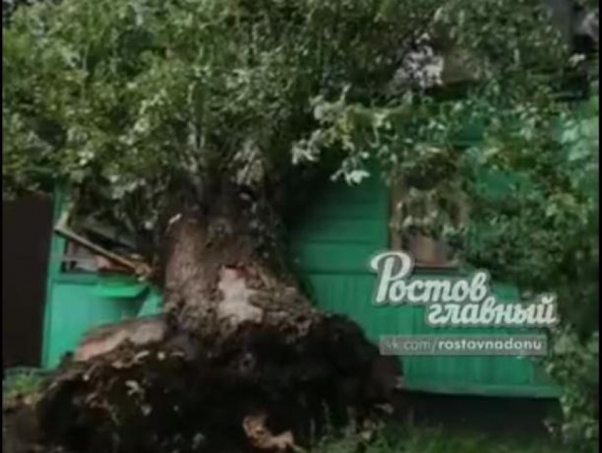 После удара молнии дерево в Ростове упало на частный дом