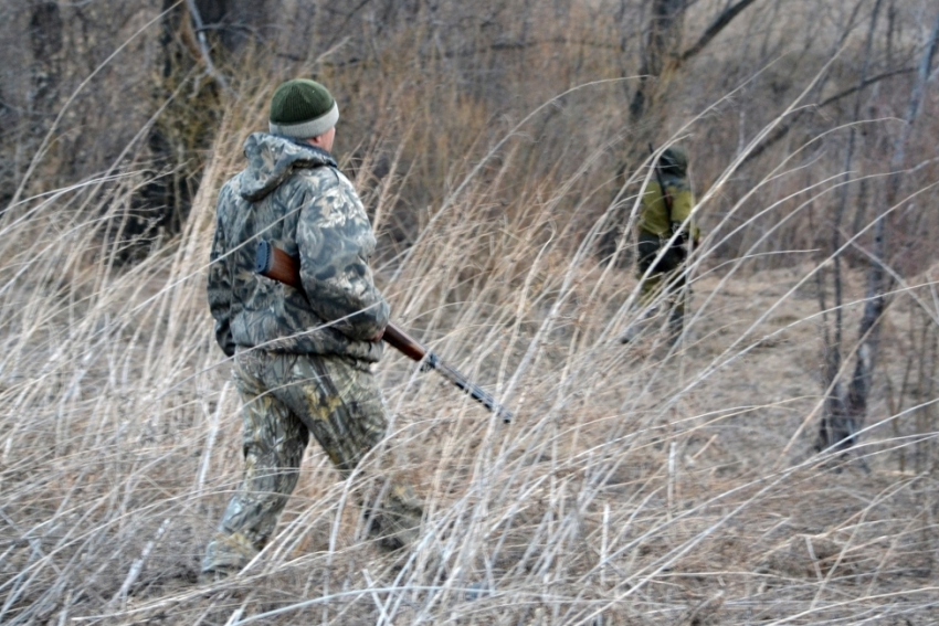 В Ростовской области разрешат охоту на волков и шакалов с 1 августа
