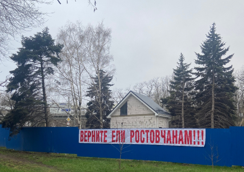 Купил участок для дочери-инвалида и продал в 9 раз дороже: дело о елках на Зелёной продолжается
