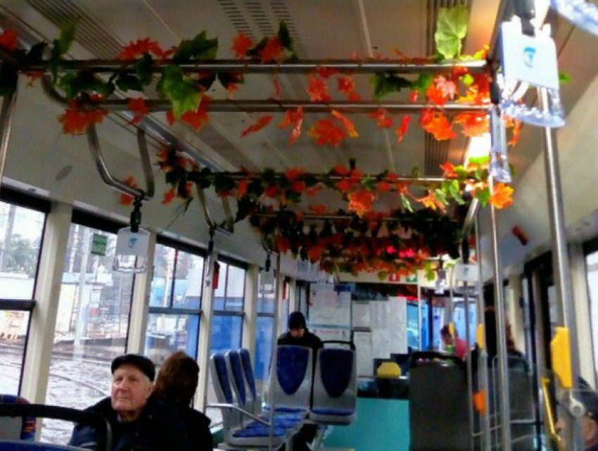 Украшенный под «осень» салон трамвая доставил эстетическое удовольствие жителям Ростова