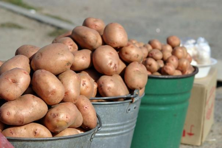 В Ростовской области выросла цена на картофель