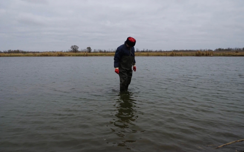 В Ростовской области в водоеме нашли останки бойцов Красной армии