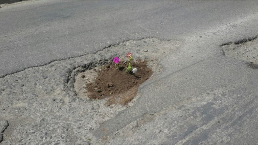 Неизвестный ростовчанин решил посадить в яме на дороге живые цветы 