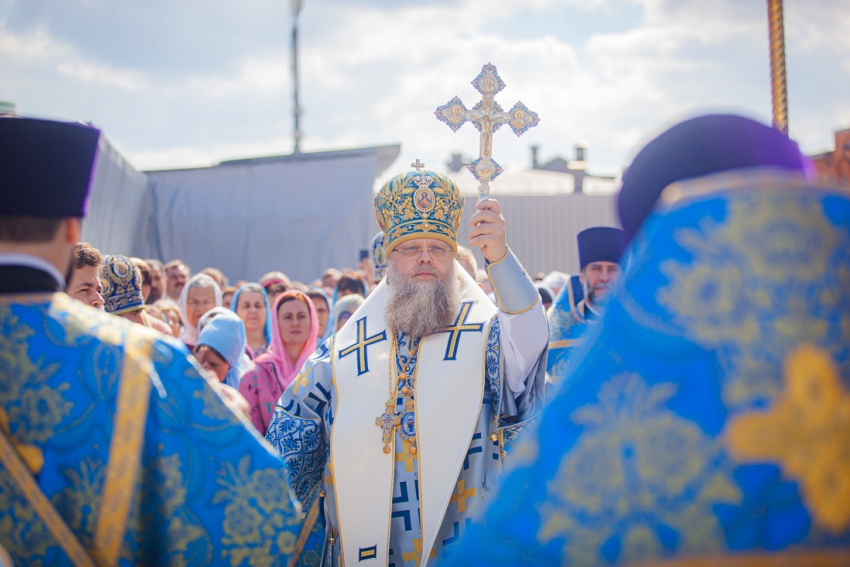 Ростовский митрополит Меркурий раскритиковал желающих делать ЭКО
