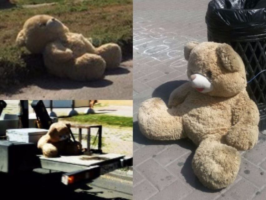 Плюшевые мишки обживаются на улицах городов Ростовской области