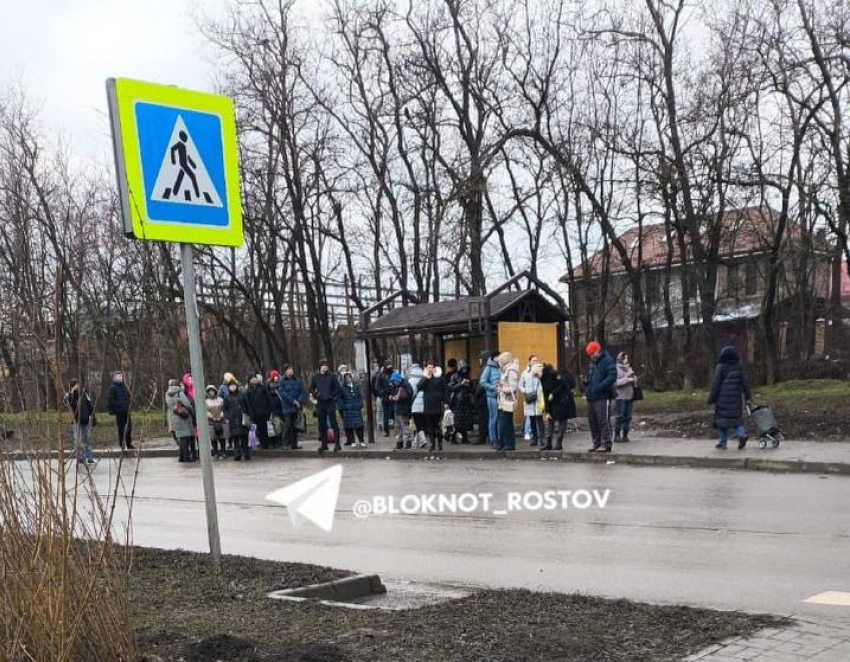 Жители Суворовского остались без автобусов из-за следственных проверок