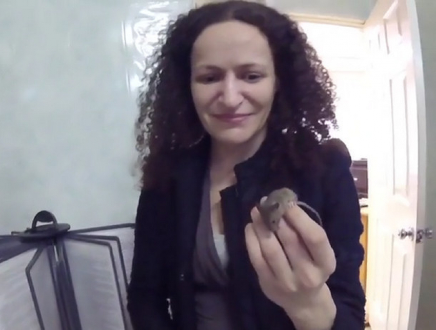Дерзкая мышь испугала девушек в ростовском ЗАГСе и попала на видео