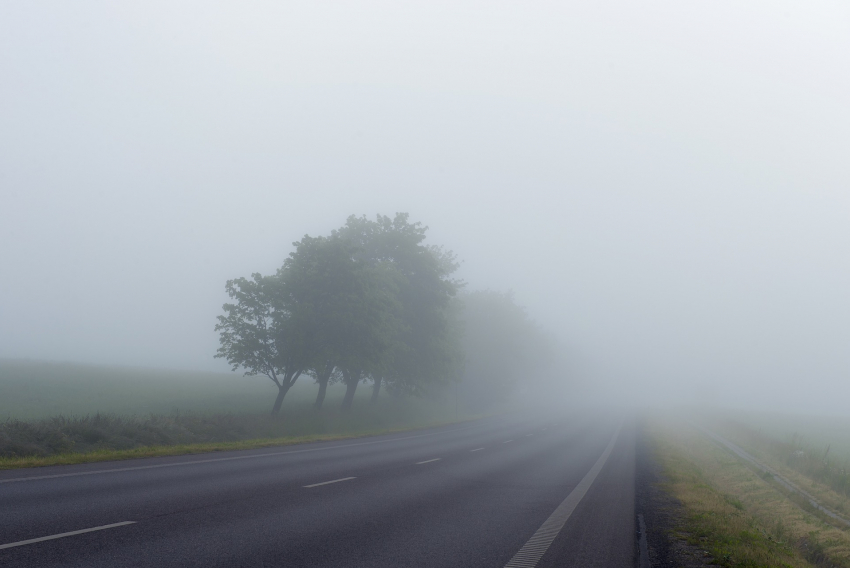 Из-за дождя и тумана в Ростовской области ухудшилась видимость на дорогах