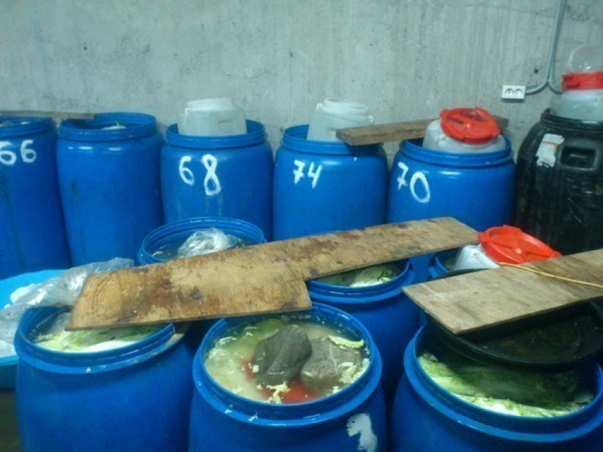 В Ростовской области накрыли подпольный цех, где готовили корейскую еду в антисанитарных условиях