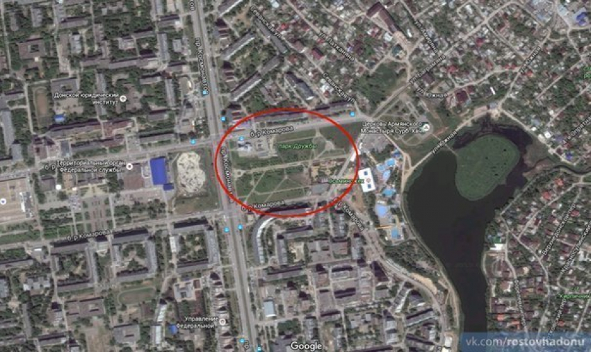 В ростовском парке стая собак разорвала кошку на глазах местных жителей