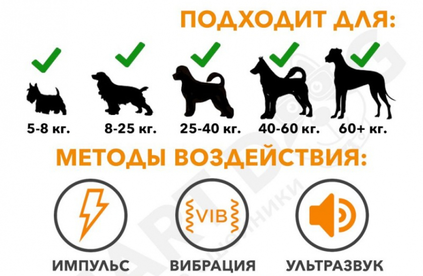 Как правильно использовать ошейник для дрессировки собак