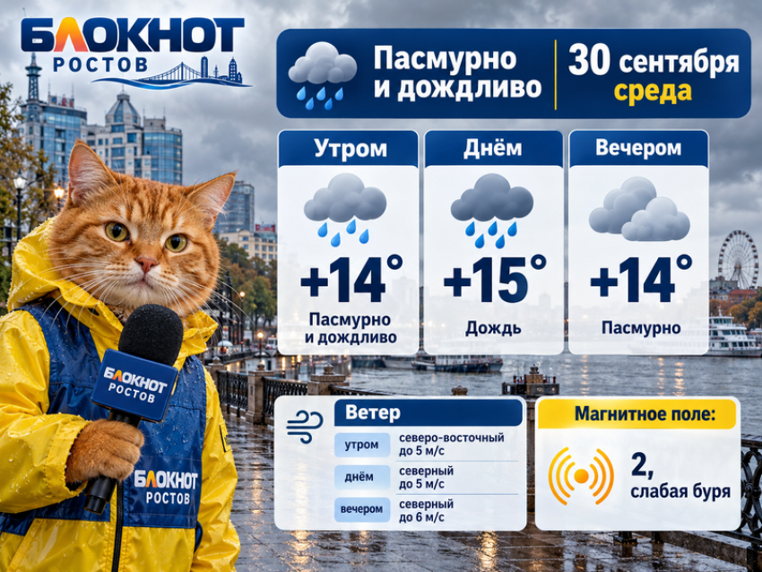 Дождь зарядит в Ростове 30 сентября при +15 градусах