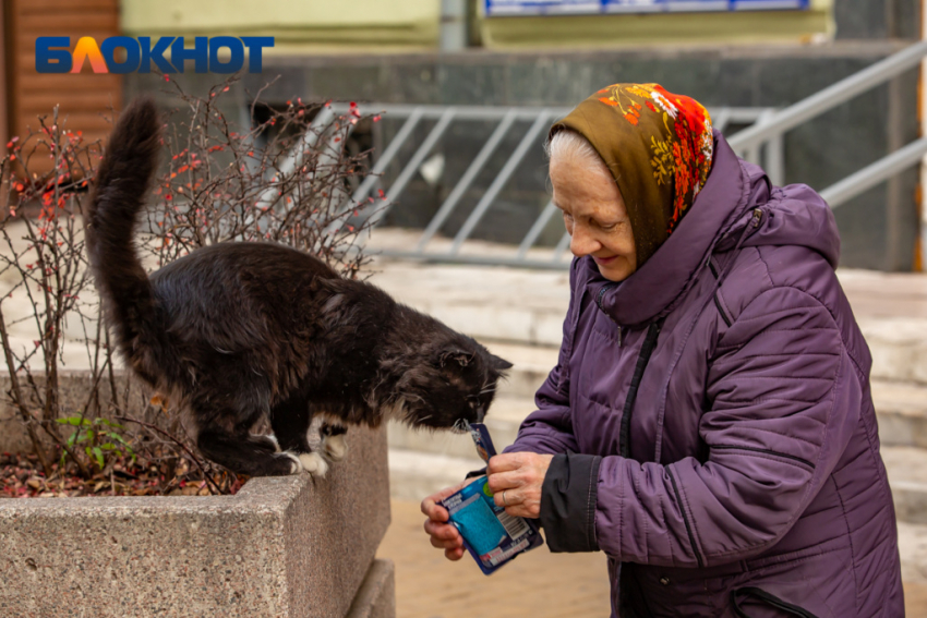 В Ростове потеплеет до +13 градусов 22 февраля