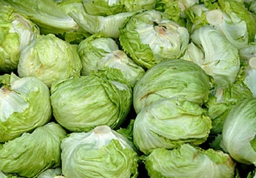 Салат Айсберг из Польши задержали и уничтожили в Ростовской области