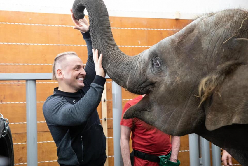 Российские звезды обратились к Василию Голубеву с просьбой вмешаться в ситуацию со слоненком