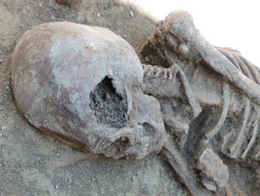 Загадочный скелет древней аристократки с вытянутой головой откопали в центре Ростова