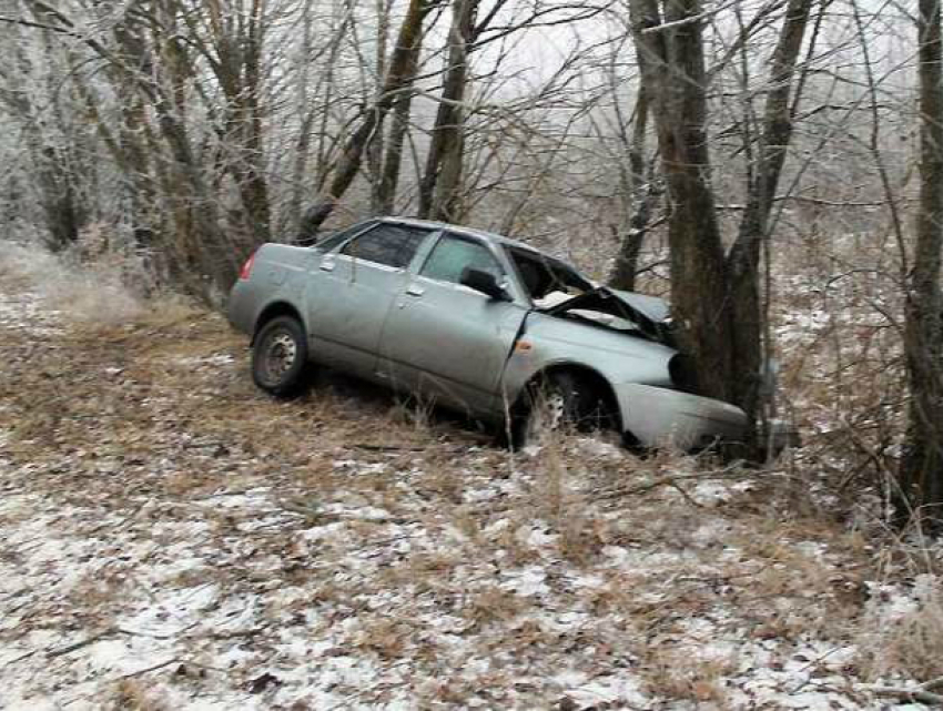 Супружеская пара серьезно пострадала в одиночном ДТП с легковушкой и деревом на трассе под Ростовом