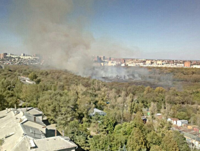 Огромная часть первомайской рощи полыхает в Ростове-на-Дону