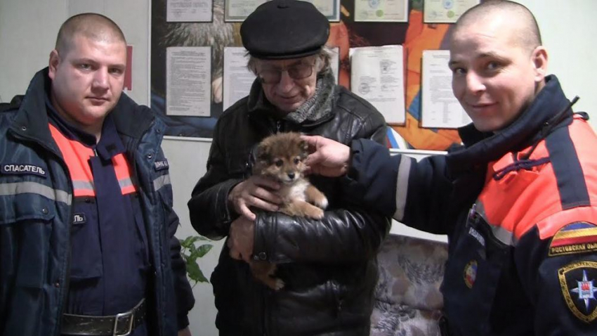 Спасатели Новошахтинска помогли щенку освободить голову из плафона