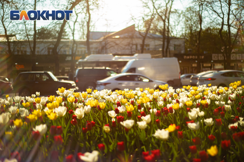 Синоптики спрогнозировали теплый март после резкого потепления в Ростове