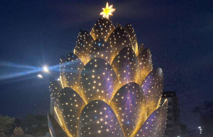 Огромная шишка на набережной Ростова наконец открыта