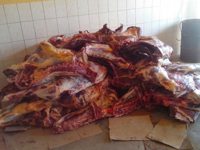 На границе с Украиной поймали контрабандиста с двумя тоннами сырой говядины