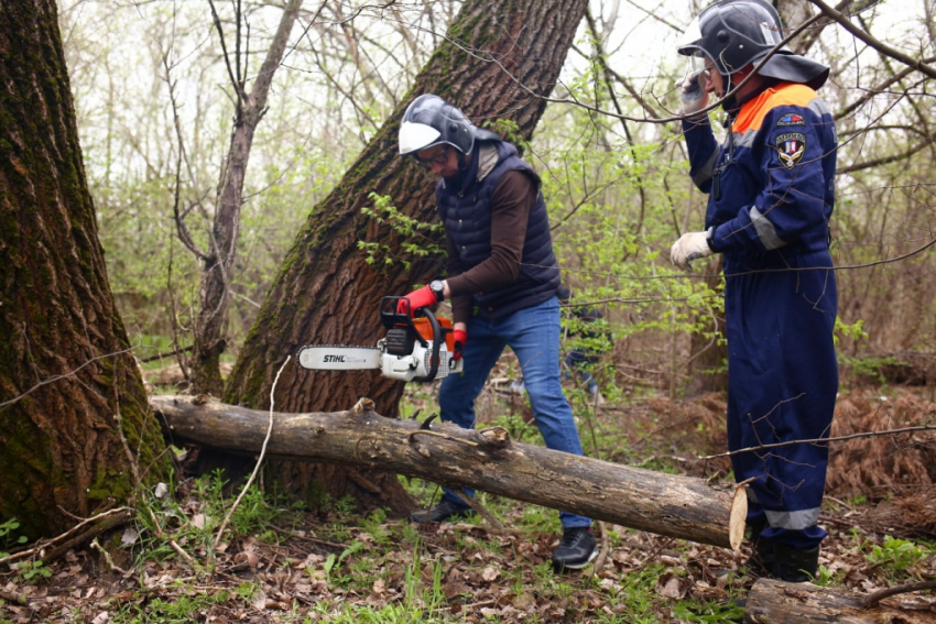 В Ростове общеобластной субботник провели в Кумженской роще