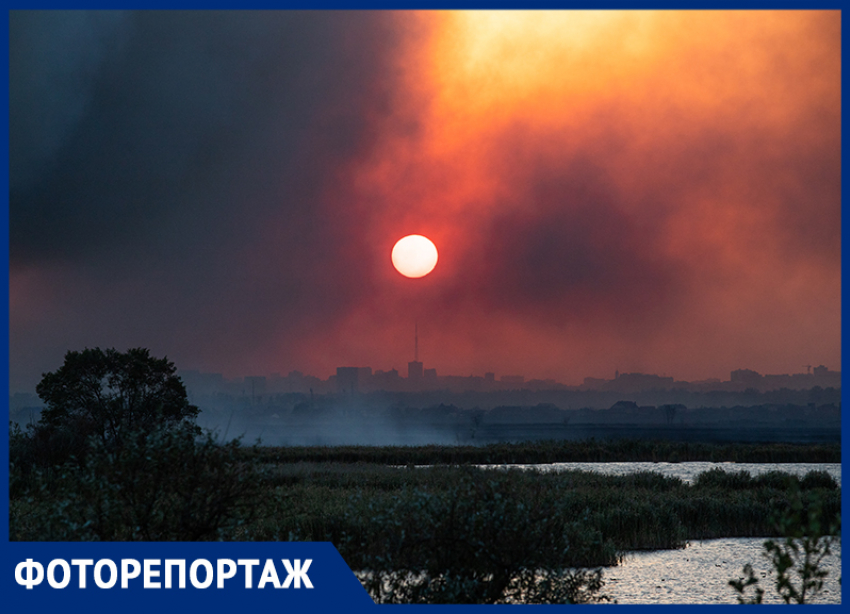 Крупный пожар на левом берегу Дона продолжают тушить: фото с места событий