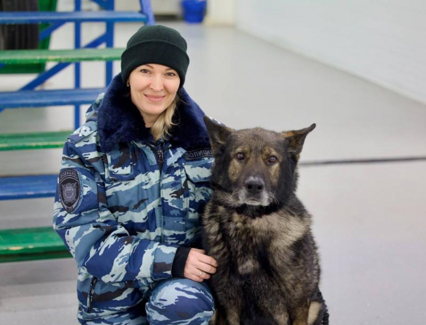 В Ростове-на-Дону служебный пес Вегас завершил карьеру и вышел на пенсию 