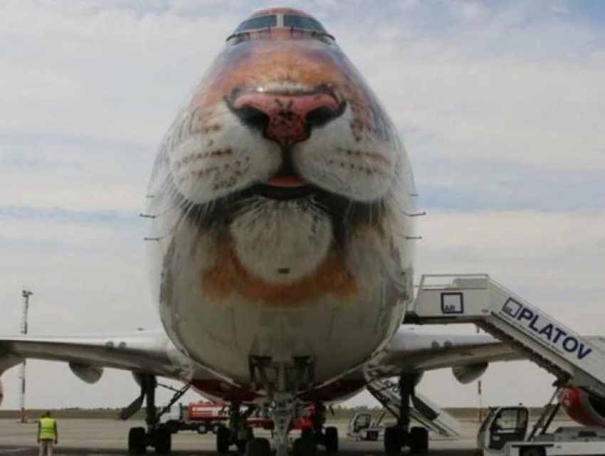 Двухпалубный Boeing 747-400 из-за непогоды приземлился в аэропорту «Платов"