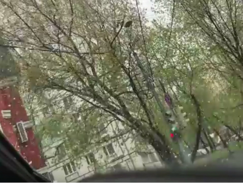 Погреться в солнечном Ростове предложили снявшему московский снег на видео известному рэперу