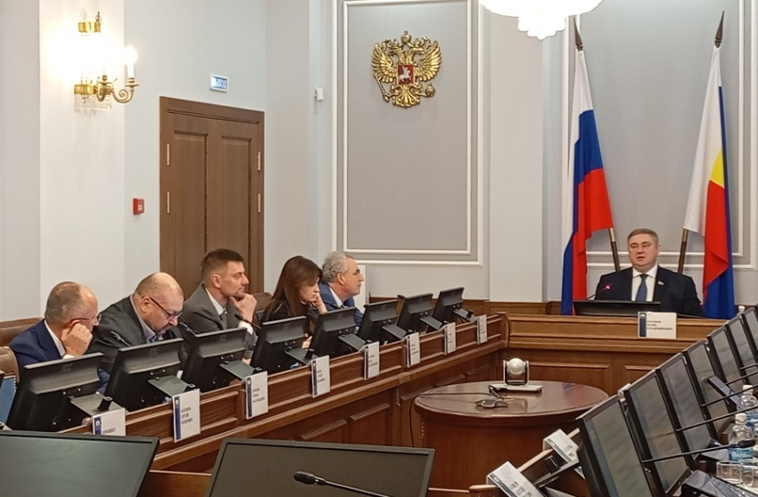 В донском парламенте обсудили тарифы на электричество и микропластик в плаценте беременных женщин