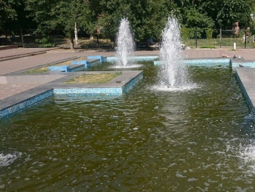 Школьники с визгом плескаются в коричневой вонючей жиже на месте фонтана в парке Ростова