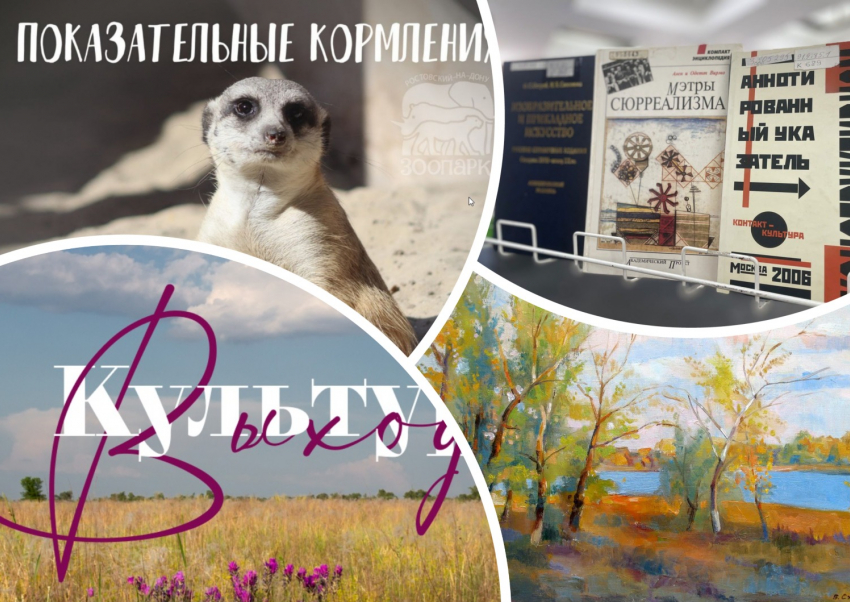 Кормим сурикатов, посещаем выставки и рисуем донской пейзаж: куда пойти в Ростове на этой неделе