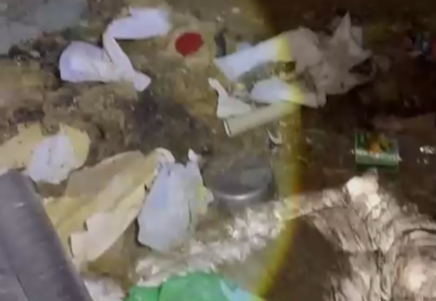 В Ростовской области в приюте для животных обнаружены мертвые и истощенные питомцы