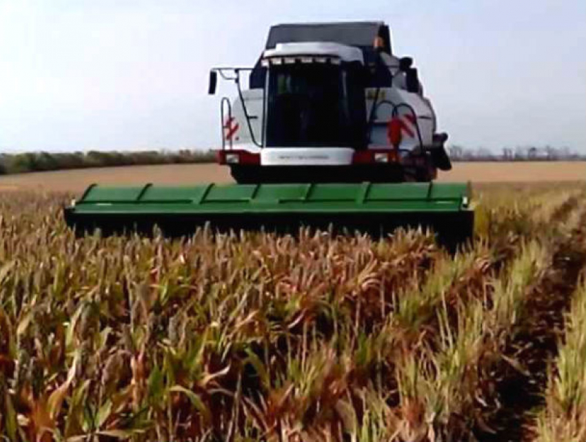 Ростовская область интересным способом решила спасти Крым вопреки проискам украинских радикалов