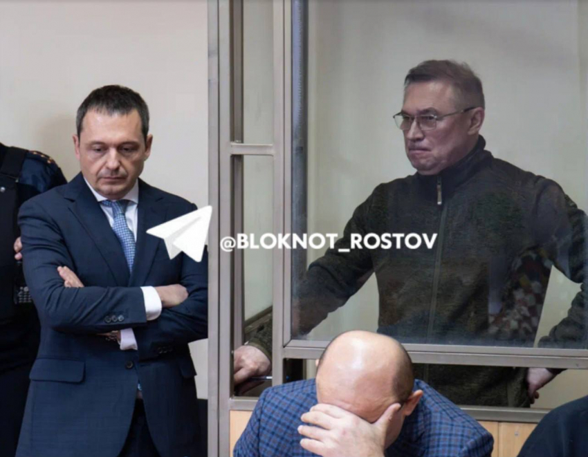 Экс-советник губернатора Ростовской области Гончаров требует вернуть дело на дополнительное расследование