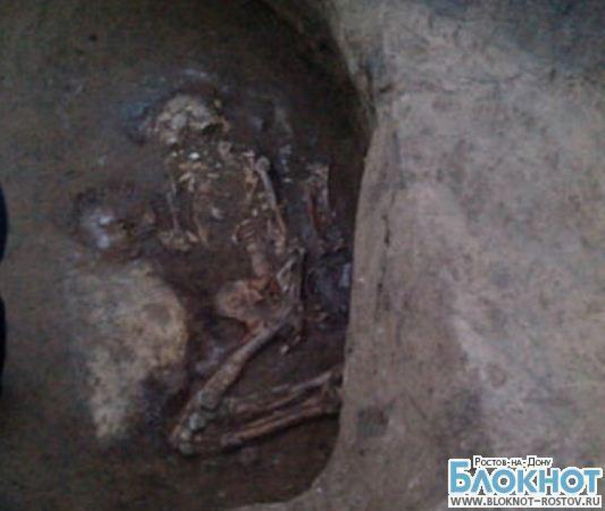 В Красном Сулине во время строительства завода нашли останки древних людей