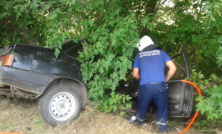 В Ростовской области «девяносто девятая» врезалась в дерево: пострадал водитель 