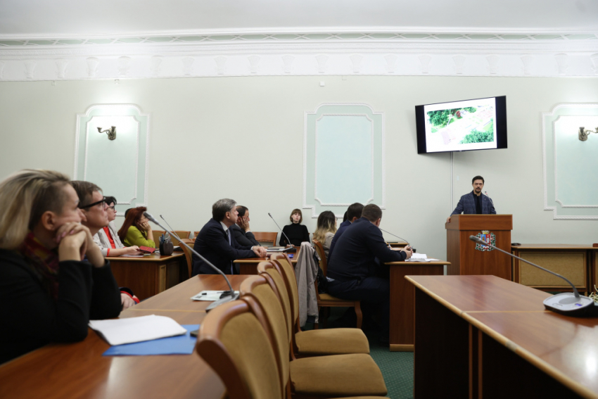 Общественники и власти Ростова обсудили дизайн- и дендро-проекты благоустройства парка «Дружба»