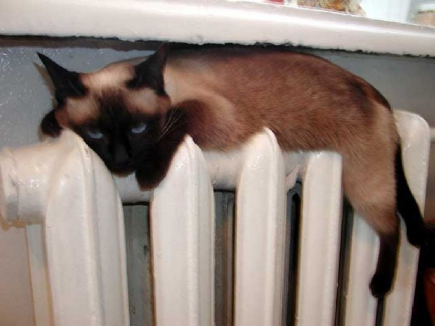 В больницах и детских садах Ростова дали отопление