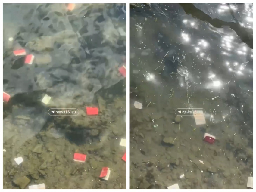 Неизвестные выбросили десятки военных билетов в реку Дон