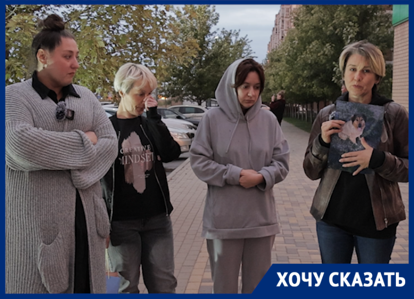 «Собака просила помощи»: ростовчане жалуются на вопиющую ситуацию с убийством чипированных собак 