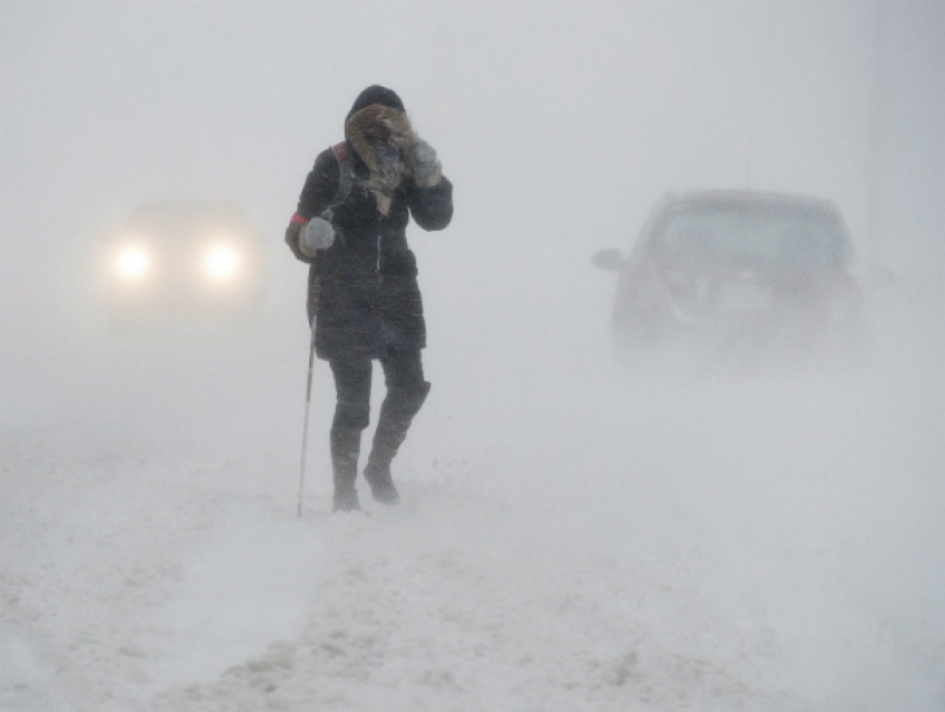Жуткой снежной бурей накроет Ростов в последний вторник февраля