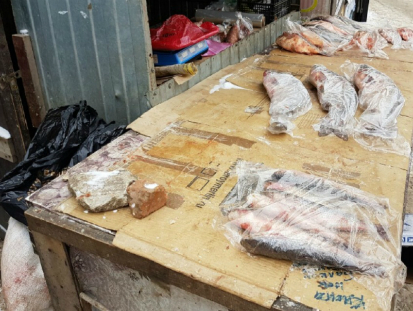 Опубликованы фото опасных мяса и рыбы, уничтоженных в Ростове