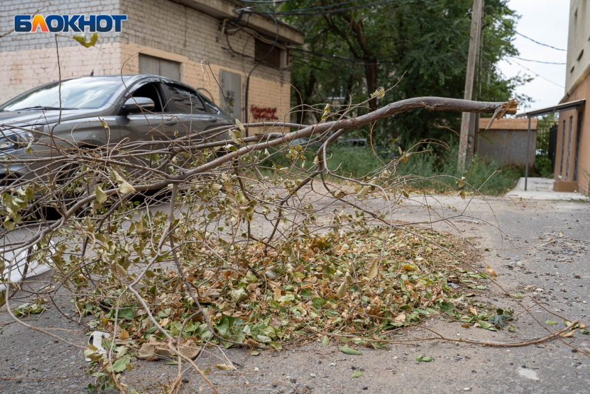 Об ураганном ветре до 12 января предупредили жителей Ростова-на-Дону
