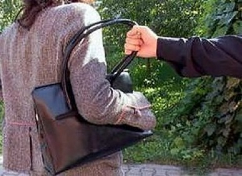 У ростовчанки вырвали сумку: девушка благодарит полицейских за помощь