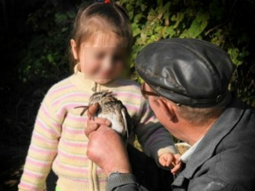Двухлетняя девочка стала жертвой секс-преступления, совершенного пьяным педофилом в Ростовской области