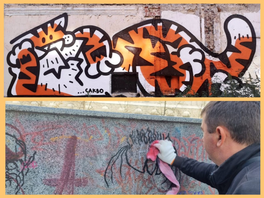 Рисунок из мха или живое граффити своими руками